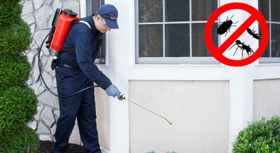 Doğankent Kene İlaçlama böcek ilaçlama ve haşere kontrolü — ilaclama-tr.com